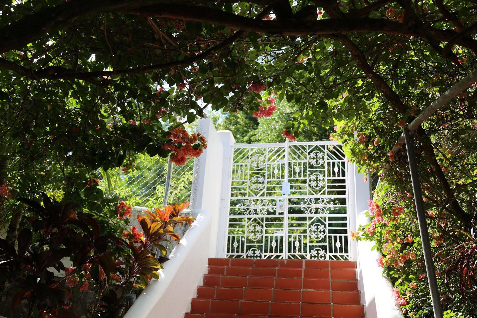 Marigot Palms Luxury Guesthouse Κάστρις Εξωτερικό φωτογραφία